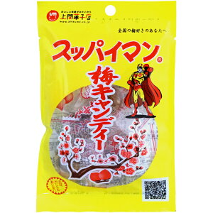 100~  4XbpC}~LfB[ [1 15]yʉَq َq  XbpC} ~ ق ܂Ƃߔ |Cg ܁z