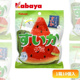 【期間限定】カバヤ 50gすいかグミ [1箱 10個入]【お菓子 グミ 西瓜 夏季限定 スイカ 乳酸菌入り まとめ買い 箱買い】