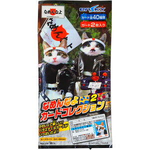 100~ Ȃ߂ȂJ[hRNV [1 20ܓ]yJ[h Ȃ߂˂ S{\LA GXJC ensky ܂Ƃߔz