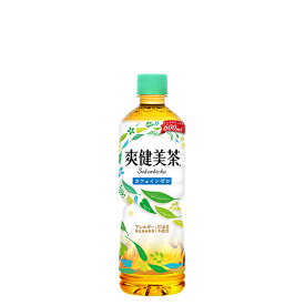 爽健美茶 600mlPET×24本【飲料 お茶 まとめ買い 箱買い ポイント消化 備蓄 ケース買い ペットボトル 】