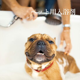 炭酸泉タブレット ワンちゃん用 ( 犬 ) 大袋60錠入 ／重炭酸イオン 入浴 入浴剤 炭酸 犬 ペット 愛犬 臭い 改善 清浄 消臭 皮膚 トラブル トリミング 家庭用 トリミングサロン ペットサロン 増量
