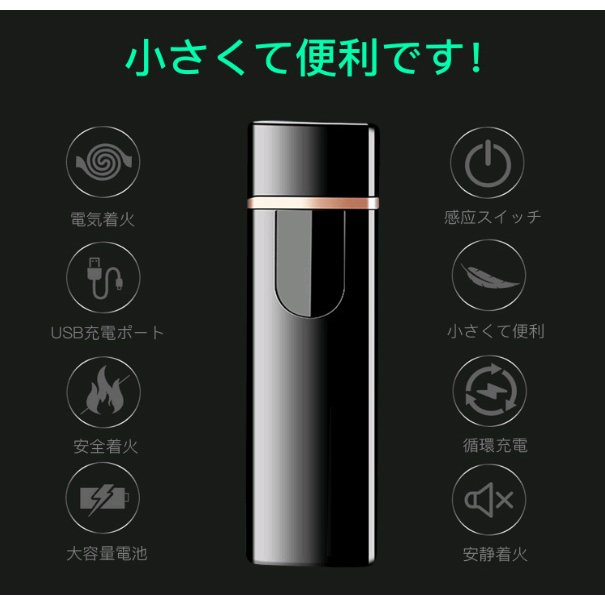 楽天市場】「楽天1位」電子ライター ライター usb 小型 充電式充電式 