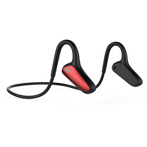 ���`�� �C���z�� Bluetooth�u�ŐV�� Bluetooth�v���`�� �C���z�� Bluetooth ���C�����X �}�C�N�t�� �w�b�h�z�� ���|�� �u���[�g�D�[�X �C���z�� �����y�A�����O �����ʘb�L�����Z�����O IPX6�h�� iPhone