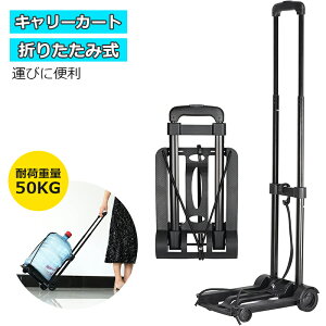 L[J[g  ܂肽ݎ RpNg É Lkב Œ胍[vt ^тɕ֗ ω׏d50KG