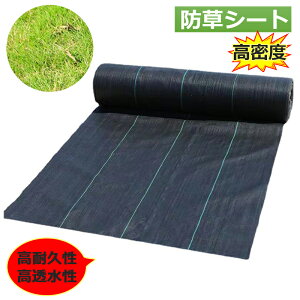 hV[g3m×100m _pV[g 悯V[g Gh~ ϗpN 2-3N 0.5mm hV[gE  lHŉ ؉  Gʐ  Y GV[g x ϋvsDz V[