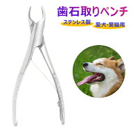 愛犬・愛猫用 歯石取り ペンチ 犬 歯石 デンタルケア ホームケア 猫 プロも愛用