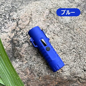 dqC^[ C^[ d@\ LEDCg h Type C[dC^[  h dʕ\ OiKƖ[h gѕ֗ y É RpNga 蕨 Mtg Lvp AEghA 