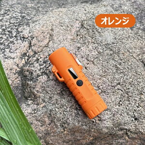 dqC^[ C^[ d@\ LEDCg h Type C[dC^[  h dʕ\ OiKƖ[h gѕ֗ y É RpNga 蕨 Mtg Lvp AEghA 