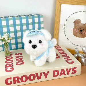 ʂ qʂ 12cml`  q  G 킢 a LO VNj j̎q ̎q Q  ItBX ۈ牀   L[g Aj  N