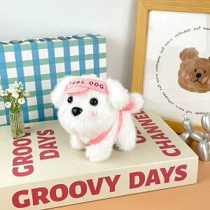 ʂ qʂ 12cml`  q  G 킢 a LO VNj j̎q ̎q Q  ItBX ۈ牀   L[g Aj  N