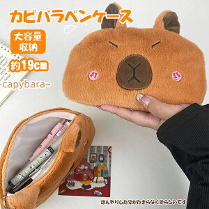 ʂ݃Jso̊w[|[` eʔ[yP[X 19cm qp RCP[X obO`[  q  G 킢 a LO VNj j̎q ̎q Q 