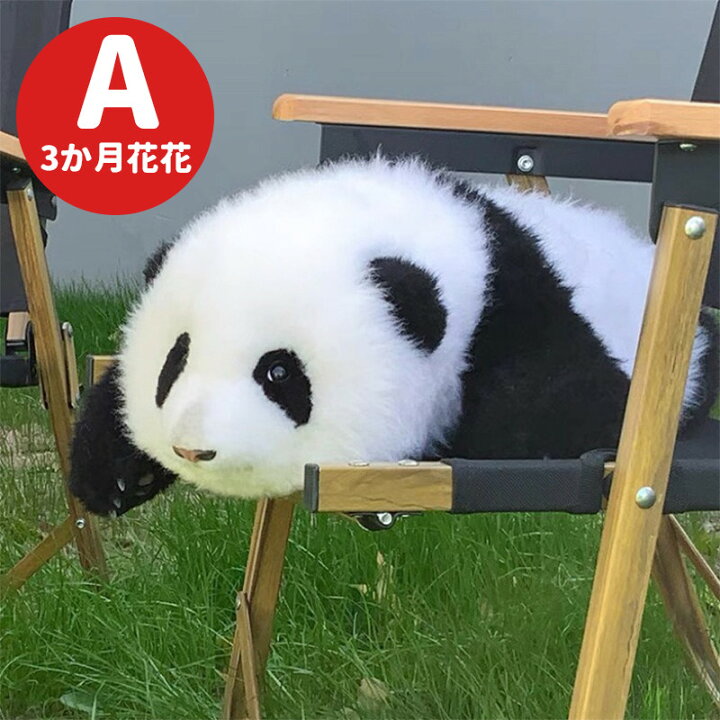 楽天市場】パンダぬいぐるみ 花花 葉子 年齢3か月/1.5か月 可愛い 