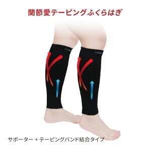 yz ֐߈e[sOӂ͂ ^Cṽe[sO jp