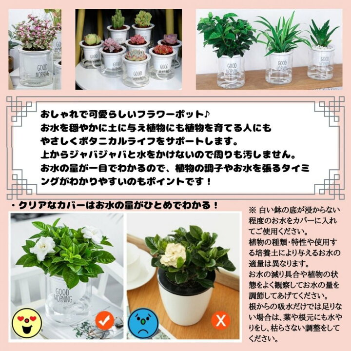 3world 吊るす 植物 ハンギング プランター 自動給水 マクラメ ネット付 空間 インテリア デザイン Sw1764大サイズ 1個 セール