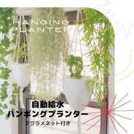 吊るす 植物 ハンギング プランター 自動給水 マクラメ ネット付 空間 インテリア デザイン SW1764大サイズ (1個)