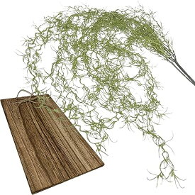 フェイクグリーン 観葉植物 ウッドプレート セット SW2090 (エアプランツ チランジア)ウスネオイデス