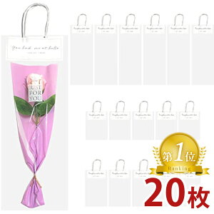 y yV1ʎ z b sN    obO Mtgp  َq ʂ v[g  SW2056 ( 40cm܂ TCY 20 ) 15cm