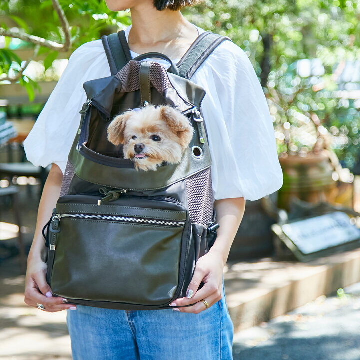 楽天市場 数量限定ギフト付き Citydog シティバックパックキャリー 犬 猫 リュック リュックキャリー 涼しい 通気性 シンプル 大容量 収納 抱っこ キャリーケース キャリーバッグ おしゃれ 中型犬 小型犬 おでかけ 電車 旅行 防災 避難 軽量 軽い 二重蓋 洗える
