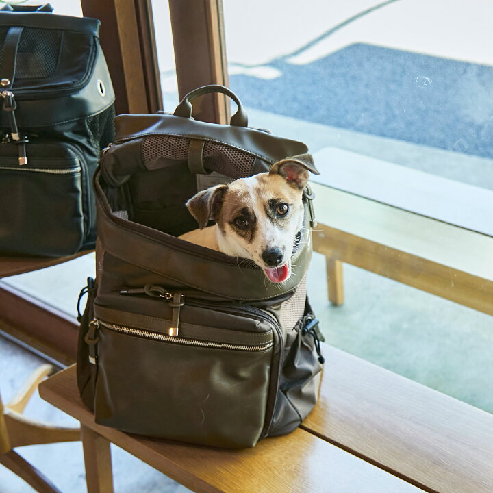 楽天市場 Citydog シティドッグ シティバックパックキャリー 犬 猫 リュック リュックキャリー キャリーケース キャリーバッグ 涼しい 通気性 シンプル 大容量 収納 抱っこ おしゃれ 中型犬 小型犬 おでかけ 電車 旅行 防災 避難 軽量 軽い 二重蓋 洗える