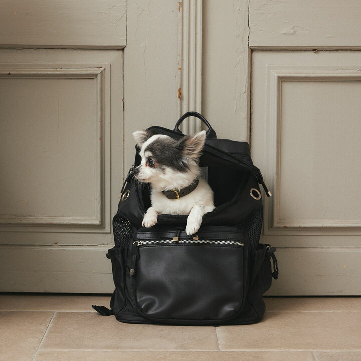 楽天市場】犬 リュック おしゃれ ｜ ペット キャリーバッグ キャリー  