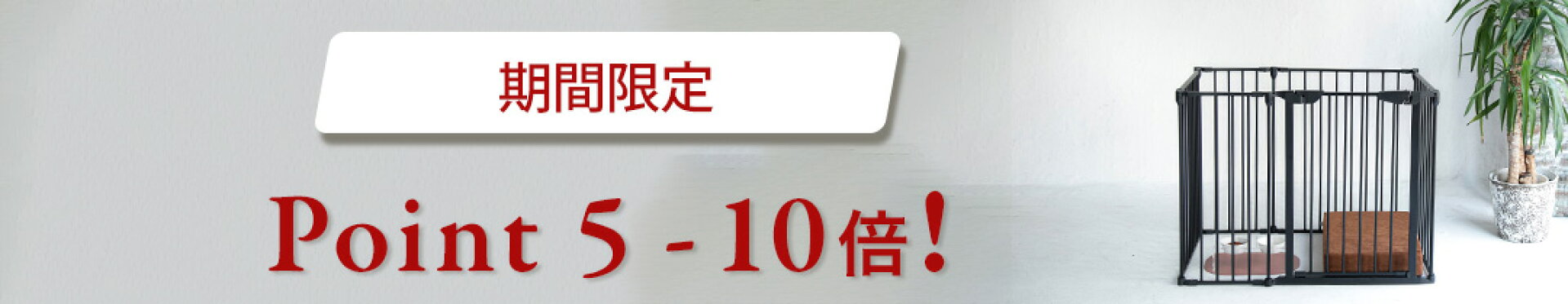 ポイント5倍-10倍