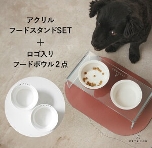  t[h{E  b L ybg H H t[hX^h `}bg GTM GT  t[h {[ a   n ^ ^ ^  킢 b