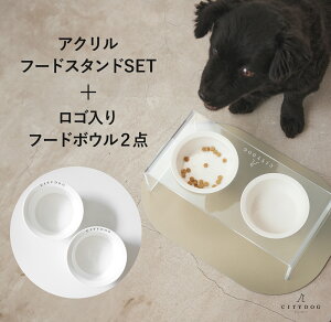  t[h{E  b L ybg H H t[hX^h `}bg GTM GT  t[h {[ a   n ^ ^ ^  킢 b