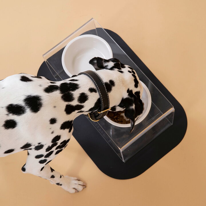 楽天市場 送料無料 Citydog アクリルフードスタンド 大型犬用 犬 ペット フードボウル 食器台 ランチョンマット エサ皿 エサ入れ 陶器 フード ボウル ボール 餌入れ 高さ 台 おしゃれ お洒落 シンプル 多頭 大型犬 中型犬 高級 安全 かわいい 上品 プレゼント