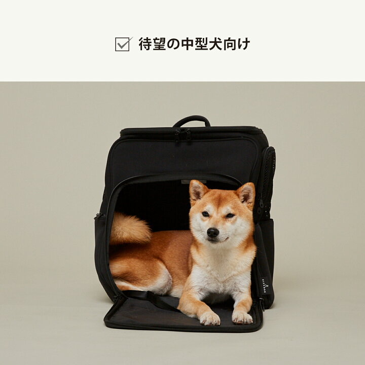 楽天市場】☆スプリングノベルティ☆ 犬 リュック 10kg ｜ キャリー 