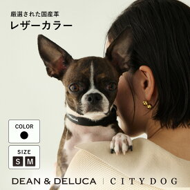 犬 首輪 おしゃれ ｜ 犬首輪 本革 革 お洒落 おしゃれ かわいい シンプル 中型犬 小型犬 国産 日本製 牛革 皮 レザー 職人 おでかけ 散歩 高品質 高級 安全 上品 プレゼント 贈り物 ｜ DEAN ＆ DELUCA ｜ CITY DOG　レザーカラー
