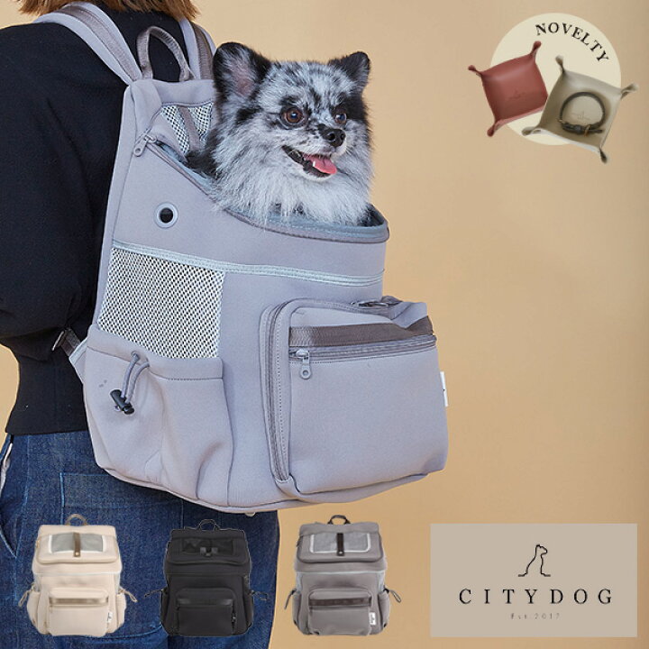 楽天市場 数量限定ギフト付き Citydog ネオプレーン バックパック キャリー ペット 犬 猫 キャリーバッグ リュック 涼しい 通気性 キャリー 抱っこ キャリーケース キャリーバック おしゃれ お洒落 小型犬 おでかけ 旅行 ドライブ 電車 軽量 軽い 防災 避難