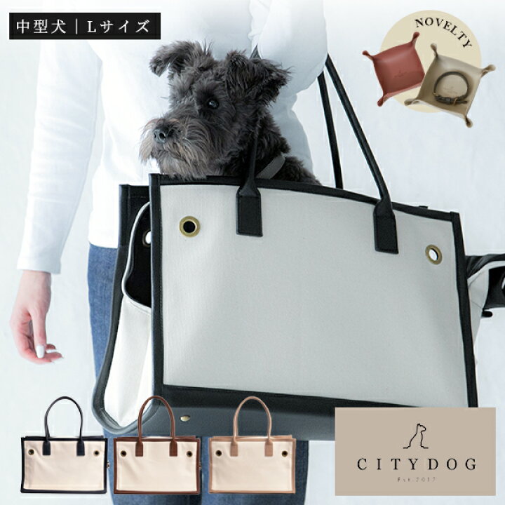楽天市場 送料無料 Citydog パイピングトート キャリー Lサイズ 犬 キャリー 猫 トート リュック 涼しい 通気性 シンプル 大容量 収納 キャリーケース キャリーバッグ おしゃれ 中型犬 多頭飼い おでかけ 電車 旅行 防災 避難 帆布 軽量 軽い 二重蓋 メッシュ