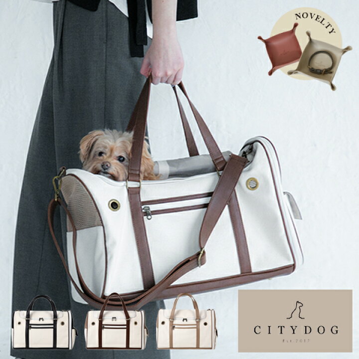 楽天市場 送料無料 Citydog パイピングトラベル キャリー 犬 キャリー 猫 ペット ボストン ショルダー トート 涼しい 通気性 シンプル 大容量 収納 キャリーケース キャリーバッグ おしゃれ 小型犬 おでかけ 電車 旅行 帰省 電車 防災 避難 帆布 軽量 軽い 二重蓋