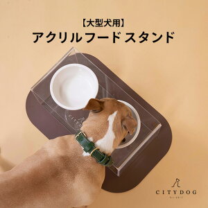  t[h{E  b ybg H `}bg GTM GT  t[h {E {[ a   ^ ^  S 킢  i by citydog / Ve