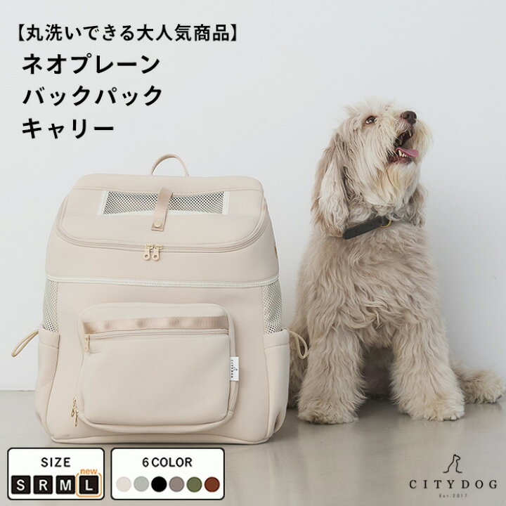 楽天市場】☆バレンタインノベルティ☆ 犬 リュック ｜ ペット 