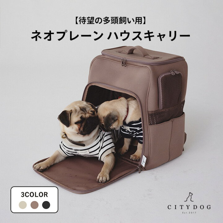楽天市場】犬 リュック バッグ ｜ キャリーバッグ キャリー キャリー 