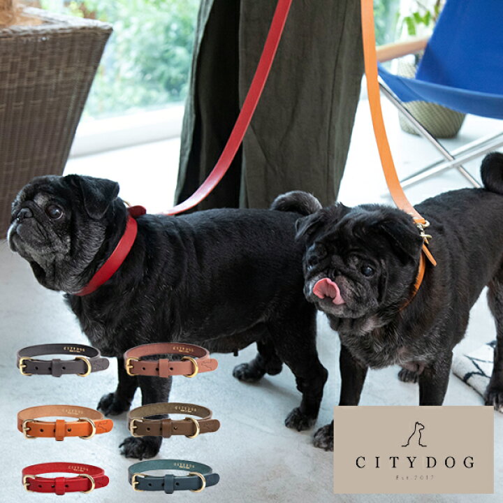 楽天市場 Citydog クラシックレザーカラー 首輪 犬 本革 革 リード 伸縮 おしゃれ お洒落 かわいい ハーネス シンプル 迷子札 2頭引き 多頭 大型犬 中型犬 小型犬 国産 日本製 牛革 皮 レザー 職人 おでかけ 散歩 高品質 高級 安全 上品