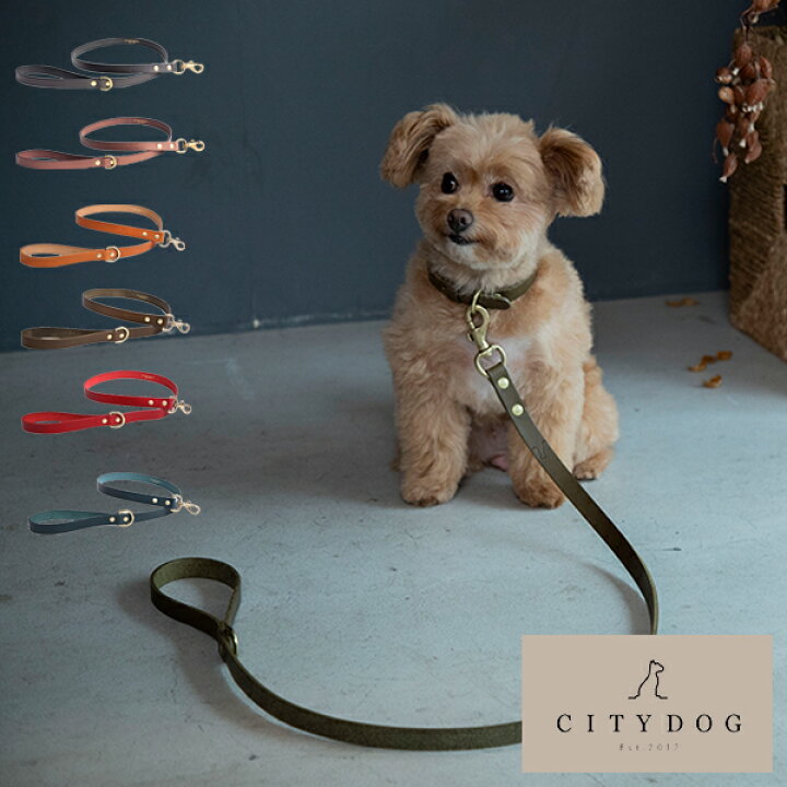 楽天市場 Citydog シティドッグ クラシックレザーリード 本革 革 リード 犬 猫 ペット 伸縮 おしゃれ お洒落 ハーネス 首輪 シンプル 2頭引き 多頭 大型犬 中型犬 小型犬 国産 日本製 牛革 職人 おでかけ 散歩 高品質 高級