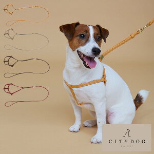 犬 リードフックの人気商品 通販 価格比較 価格 Com