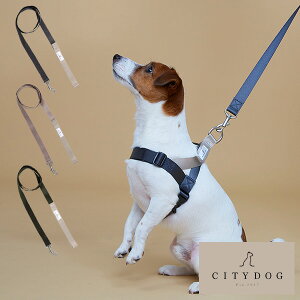 犬用首輪 リード ハーネス リード 中型犬 多頭 ペットの人気商品 通販 価格比較 価格 Com