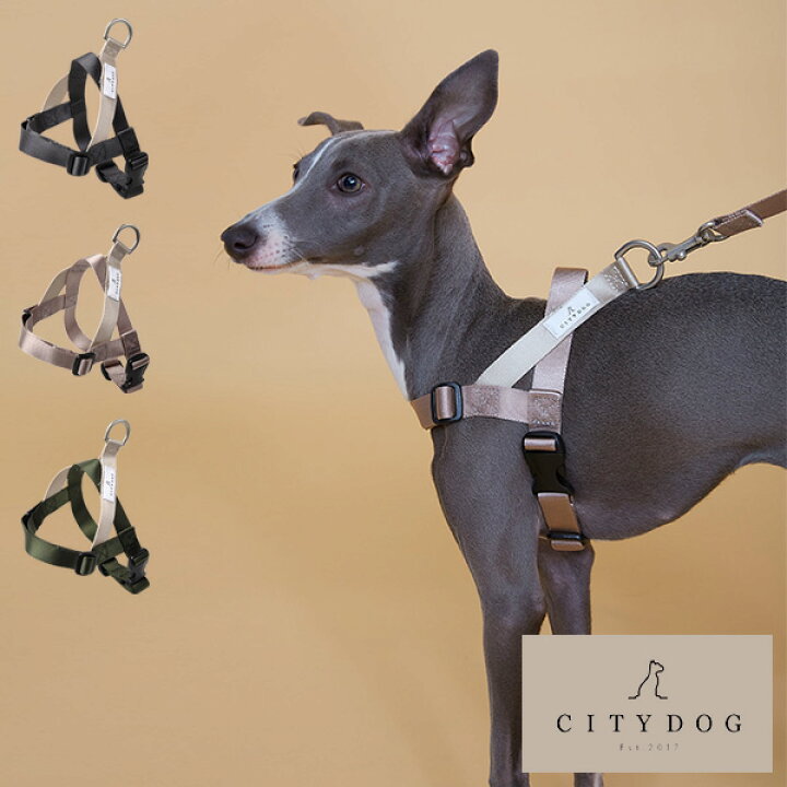 楽天市場 Citydog シティドッグ サテンハーネス 犬 ペット ハーネス 簡単 装着 調節可能 サテン リード 中型犬 小型犬 ブランド おしゃれ お洒落 首輪 シンプル 2頭引き 多頭 国産 日本製 職人 おでかけ 散歩 高品質 高級 安全