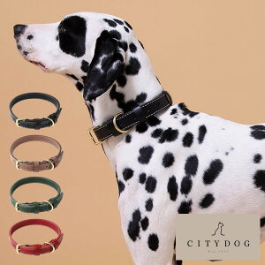 犬 伸縮リード 8mの人気商品 通販 価格比較 価格 Com