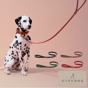  [h  b {v v L ybg Lk  n[lX  Vv ^ ^ Y { v El ł U i  S  i v[g by citydog / V