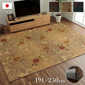 Y ܐDOJ[ybg ԕ a_  ߓd ėp   ݃Jo[ { hL hL ~ R  R GKg C BY   191×250cm a 