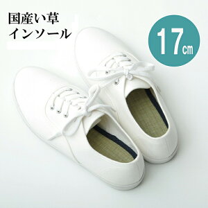 C\[ WjA L R C\[ lCr[ 17cm ~ Ȃ iJWL   L x {