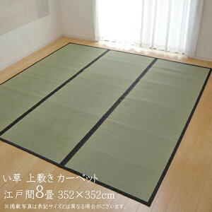 O ėp Y  ~ 8 J[ybg J[ybg  O Vv ȐD  ]ˊ8i352×352cmj F{YC ~J[ybg C ~  ~ 