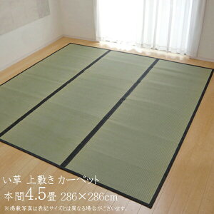 O Y  ~ 4.5 J[ybg J[ybg  O Vv ȐD  {4.5i286×286cmj F{Y ~J[ybg ~  ~  { R