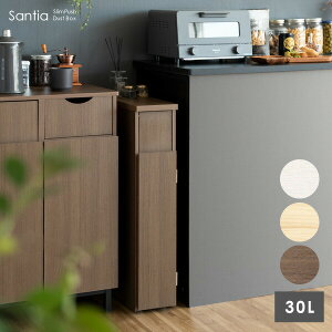 X_Xg{bNX LX^[t 17cm 30L Lb` ʏ  Ԏ[ S~ _XgBOX  X^CbV Santia TeBA