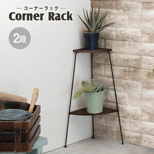 ラック コーナーラック 2段 アイアンラック スチールラック オープンラック フラワースタンド トイレラック 飾り棚 花台 デポシリーズ アイアン アンティーク ディスプレイラック スリム 隙