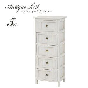 `FXg 35cm X RpNg 5i AeB[N`FXg ؐ rt  \y ^X ߗގ[ rO [ [Ƌ t@bNX FAX db o m I k t`J